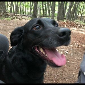 Meet your Posher, Jason